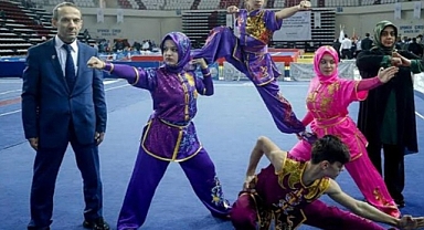 Avrupa Wushu Kungfu Federasyonu, Türkiye'nin Üyeliğini Askıya Aldı