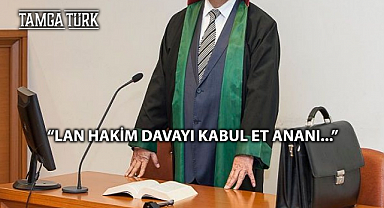 Avukat, Hakime Küfürlü Dilekçe Gönderdi