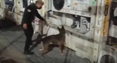 Ekvador’da, Rotası Türkiye Olan Konteynerde 189 Bin Dozluk Kokain Yakalandı