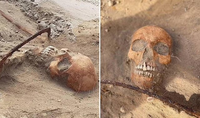 Polonya'da 'Kadın Vampir' İskeleti Keşfedildi: Mezardan Çıkmasın Diye Orak Konulmuş