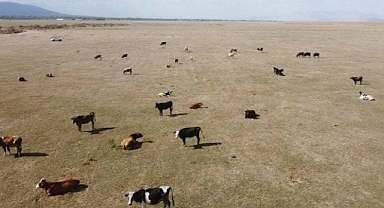 Akşehir Gölü Tamamen Kurudu