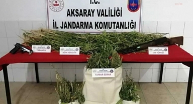 Arazisinde Kenevir Bulunan AKP'li Belediye Meclis Üyesi Gözaltına Alındı