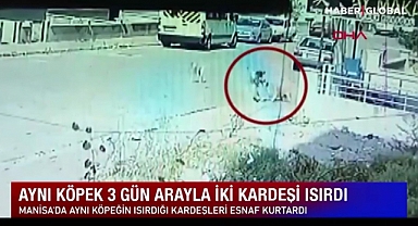 Aynı Köpek 3 Gün Arayla İki Kardeşi Isırdı