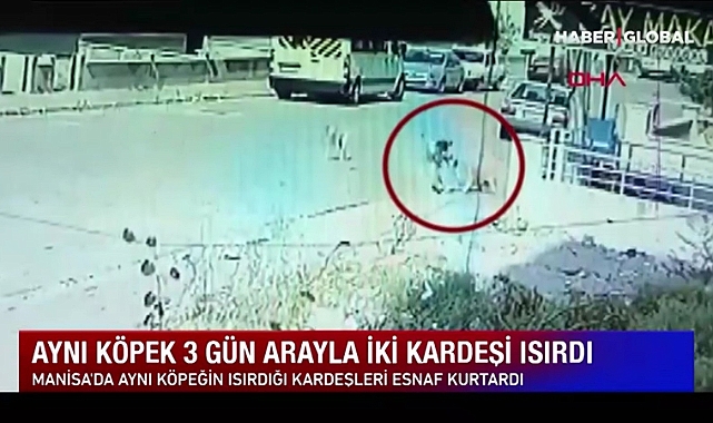 Aynı Köpek 3 Gün Arayla İki Kardeşi Isırdı
