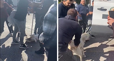 Başıboş Köpeği Barınağa Alan Gölbaşı Belediyesi Ekiplerine Tehdit ve Saldırı