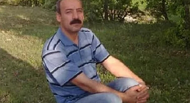 Kovanları Taşımak İstedi: Tunceli'de Bir Emekli Öğretmen Arı Sokması Sonucu Hayatını Kaybetti