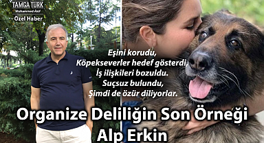 Özel Haber | Eşini Korudu, Köpekseverler Hedef Gösterdi, İş İlişkileri Bozuldu, Suçsuz Bulundu