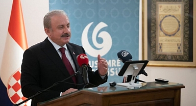 TBMM Başkanı Şentop: Türkiye, Kırım'ın İlhakını Tanımamıştır, Tanımayacaktır