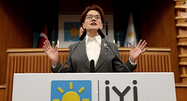 Akşener: Sahipsiz Sokak Hayvanlarıyla İlgili Haberleri Endişeyle Takip Ediyoruz 