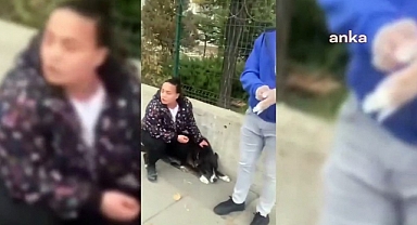 Başıboş Köpektapar Sorunu: Belediyenin Başıboş Köpeği Toplamasına Engel Olmak İstediler