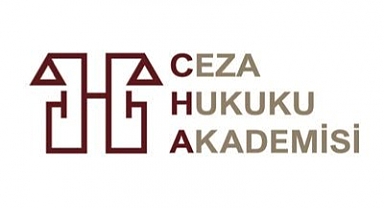 Ceza Hukuku Akademisi'nden 'Başıboş Köpekler Toplatılsın' Çağrısı