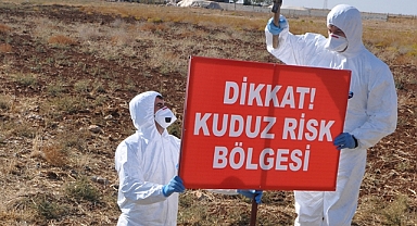 Kars'ta Bir Köy Kuduz Karantinasına Alındı