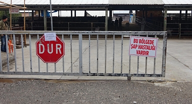 Kayseri'de 6 Mahallede Şap Hastalığı Karantinası