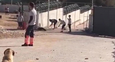 Konya'da Hayvan Bakımevinde Köpeğe Canavarca Eziyet