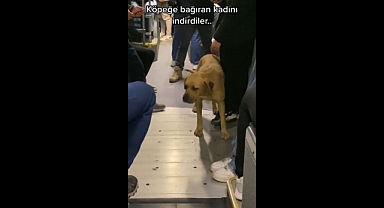 Metrobüste Köpek Tartışması: Köpektaparlar, Köpekten Korkan Kadını Metrobüsten İndirdi