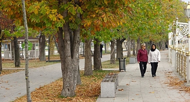 Tokat'ta İlginç Yasak: Dökülen Yapraklar Süpürülmeyecek