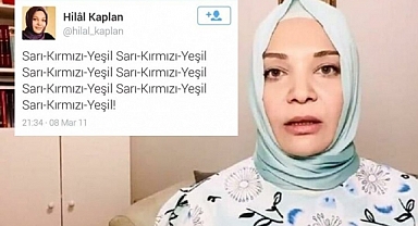 Türk Düşmanı, Kürtçü, Mürteci Hilal Kaplan'ı Devlet İmkanlarıyla Türk Devletleri Teşkilatı Zirvesine Götürdüler