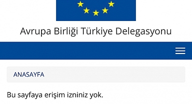 3 Milyon 553 Bin Suriyeli Bebeğin Aşılandığına İlişkin AB Raporu Silindi