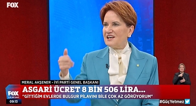 Akşener: Kendi Seçtirdiğimiz Belediye Başkanı İçin Kimden İzin Alacağım, Bunu İma Edeni Fena Çarparım