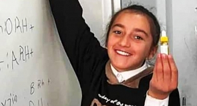 Iğdır'da Başıboş Köpeklerin Saldırısından Kaçarken Tır Çarpan 12 Yaşındaki Kız Çocuğu Hayatını Kaybetti