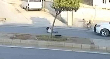 Şanlıurfa’da Başıboş Köpeklerinin Saldırısına Uğrayan Kız Çocuğu Ölümden Döndü