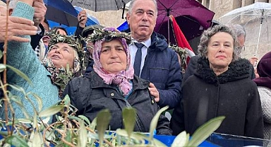 Zeytinliklerin Madenciliğe Açılmasını Düzenleyen Madde Geri Çekildi