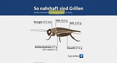 Alman Devlet Kanalından 'Böcekle Beslenme' Propagandası