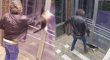 Kedilere İşkence Eden Aytuğ Koyuncu Adlı Şahıs Gözaltına Alındı