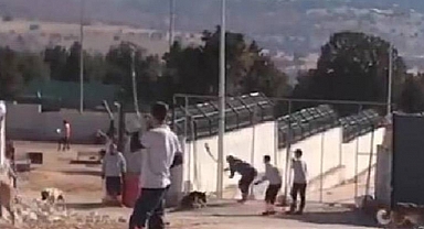 Konya'da Köpeklere İşkence Eden Canilerin Tahliye Edilmesine İtiraz Edildi
