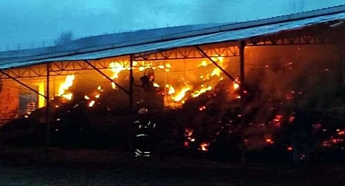 Tekirdağ'da Bir Çiftlik Alevler İçinde Kaldı: 4 Buzağı ve 2 Yavru Köpek Öldü