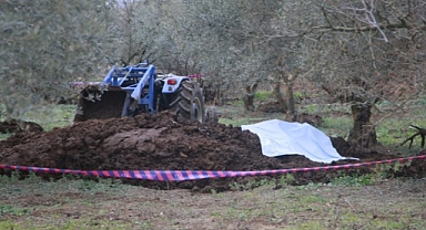 Zeytinliğe Getirilen Gübrenin İçinden Ceset Çıktı