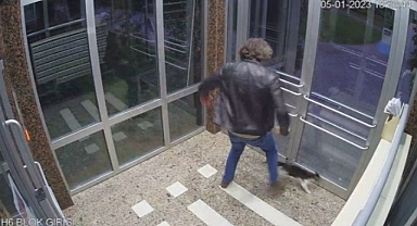 Kendi Halinde Duran Kedilere İşkence Eden Aytuğ Koyuncu Tutuklandı