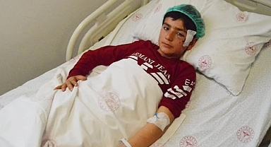 Koyun Otlatan 12 Yaşındaki Çocuk, Başıboş Köpek Saldırısına Uğradı
