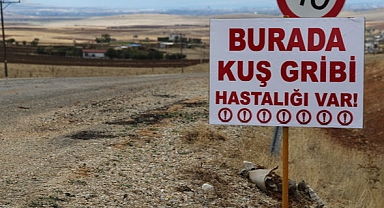 Afyonkarahisar ve Denizli'de Kuş Gribi Alarmı