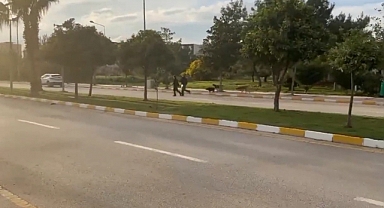 Akdeniz Üniversitesi Yurtlarında Kalan Depremzedeler Başıboş Köpek Saldırısına Uğradı