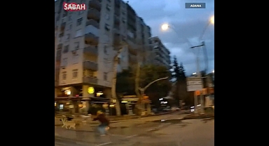 Başıboş Köpekler Adana'da Yayaya Saldırdı
