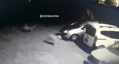 Başıboş Köpeklerin Saldırdığı Adam Arabanın Üstüne Çıkarak Kurtuldu
