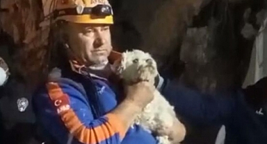 Hatay'da Depremin 25'inci Gününde Enkazdan Canlı Bir Köpek Çıkartıldı