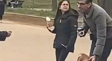 Parkta Tasmasız Köpek Gezdiren İngiliz Başbakanı Sunak, Polis Tarafından Uyarıldı