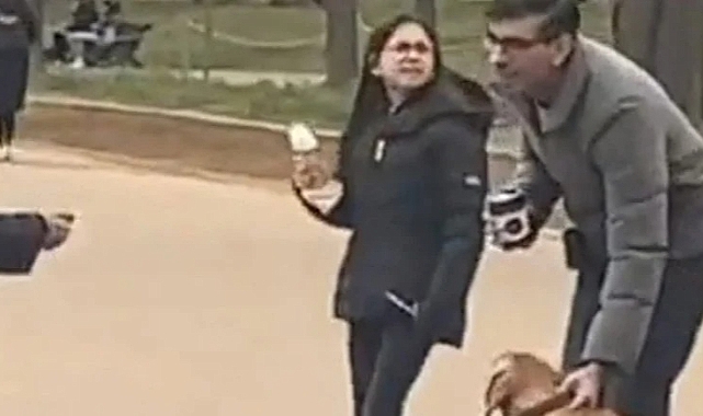 Parkta Tasmasız Köpek Gezdiren İngiliz Başbakanı Sunak, Polis Tarafından Uyarıldı