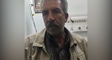 Şanlıurfa'da Okuldan Evine Dönen Kız Öğrenci Başıboş Köpeklerin Saldırısına Uğradı
