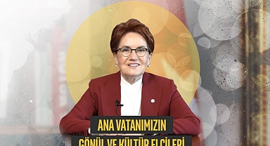 Akşener’den Yurt Dışındaki Seçmenlere Tarihi Çağrı