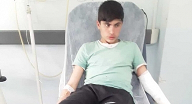Bingöl'de Başıboş Köpek Dehşeti: 16 Yaşındaki Lise Öğrencisi Ölümden Döndü
