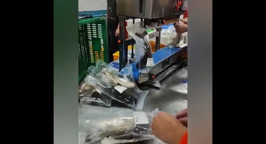 Çinliler Balıkları Canlı Olarak Paketleyip Satışa Sundu
