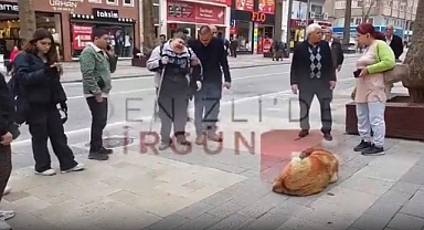 Denizli'de Başıboş Köpek, Görme Engelli Vatandaşı Isırdı: Vatandaş 'Ben Ona Ne Yaptım ki?' Diyerek Ağladı