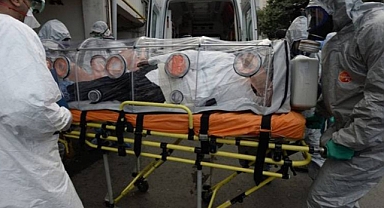 Ekvator Ginesi’nde Marburg Virüsü Salgını: 16 Vaka, 11 Ölüm
