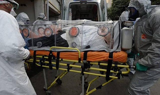 Ekvator Ginesi’nde Marburg Virüsü Salgını: 16 Vaka, 11 Ölüm