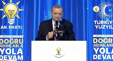 Erdoğan, Naci Görür'ü Hedef Aldı: Bu Adam Müsvedde, Senin Profesörlüğünden Bu Millete Ne Gelir?