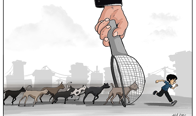 Köpektaparlar, Başıboş Köpeklerin Tehlikesine İlişkin Belgesel Yapan Vatandaşı CİMER'e Şikayet Ettiler
