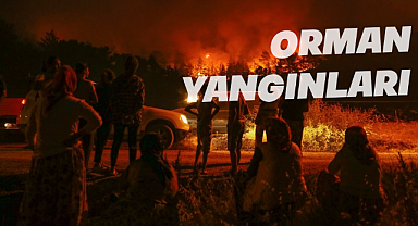 Erdoğan'a Oy Vermemek İçin 66 Sebep: 58-Orman Yangınları